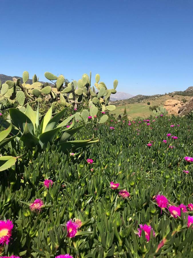 Casa Grande / Rosas Cantares Pizarra Dış mekan fotoğraf